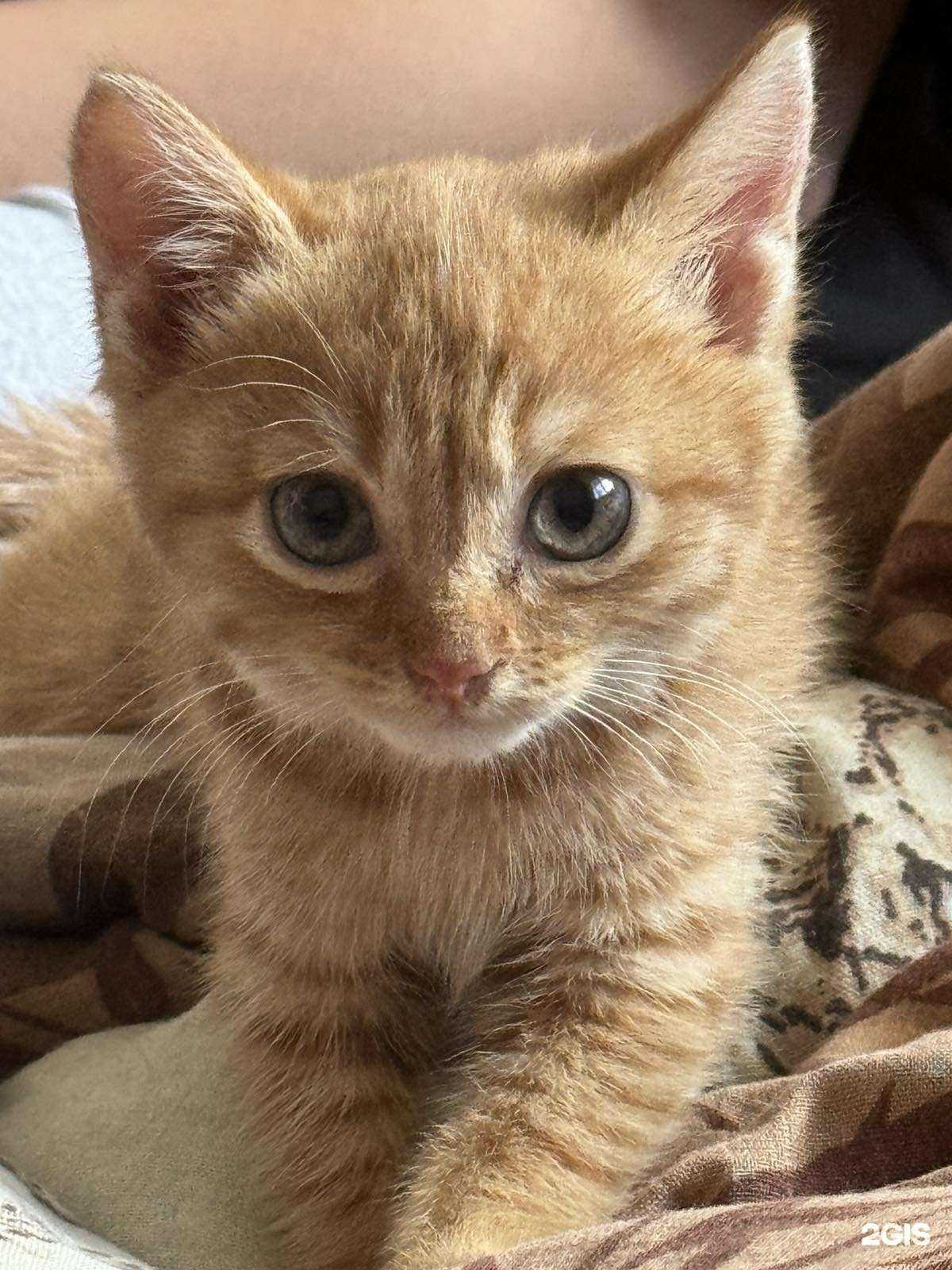 Отзывы на компанию Средняя школа №17 в Улан-Удэ c фото