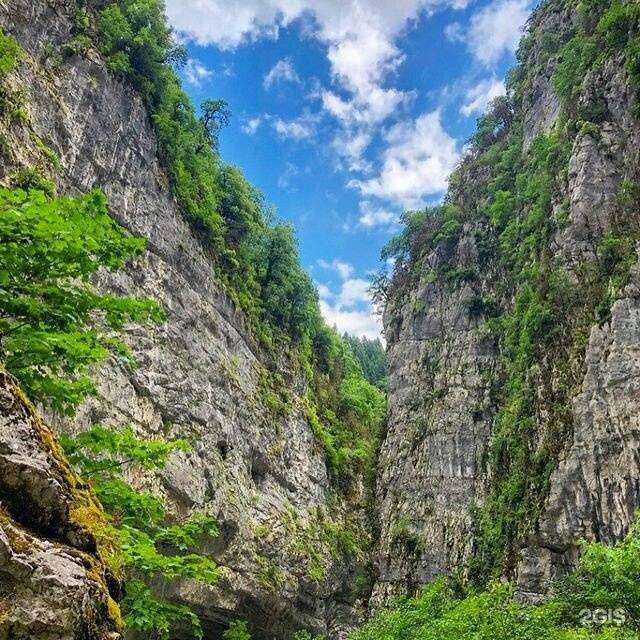 Отзывы на компанию Мой Сочи в Сочи c фото