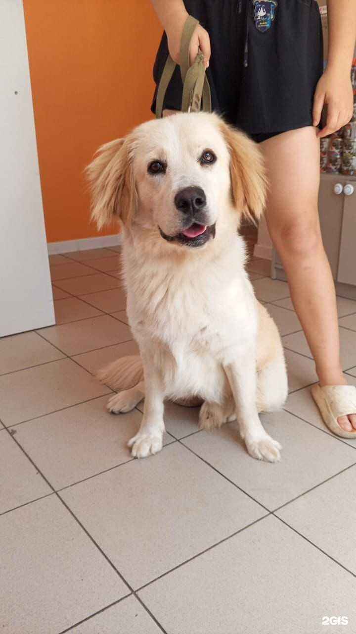 Отзывы на компанию Барс в г. Сочи c фото