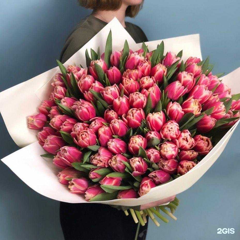 Отзывы на компанию Телега в г. Смоленск c фото