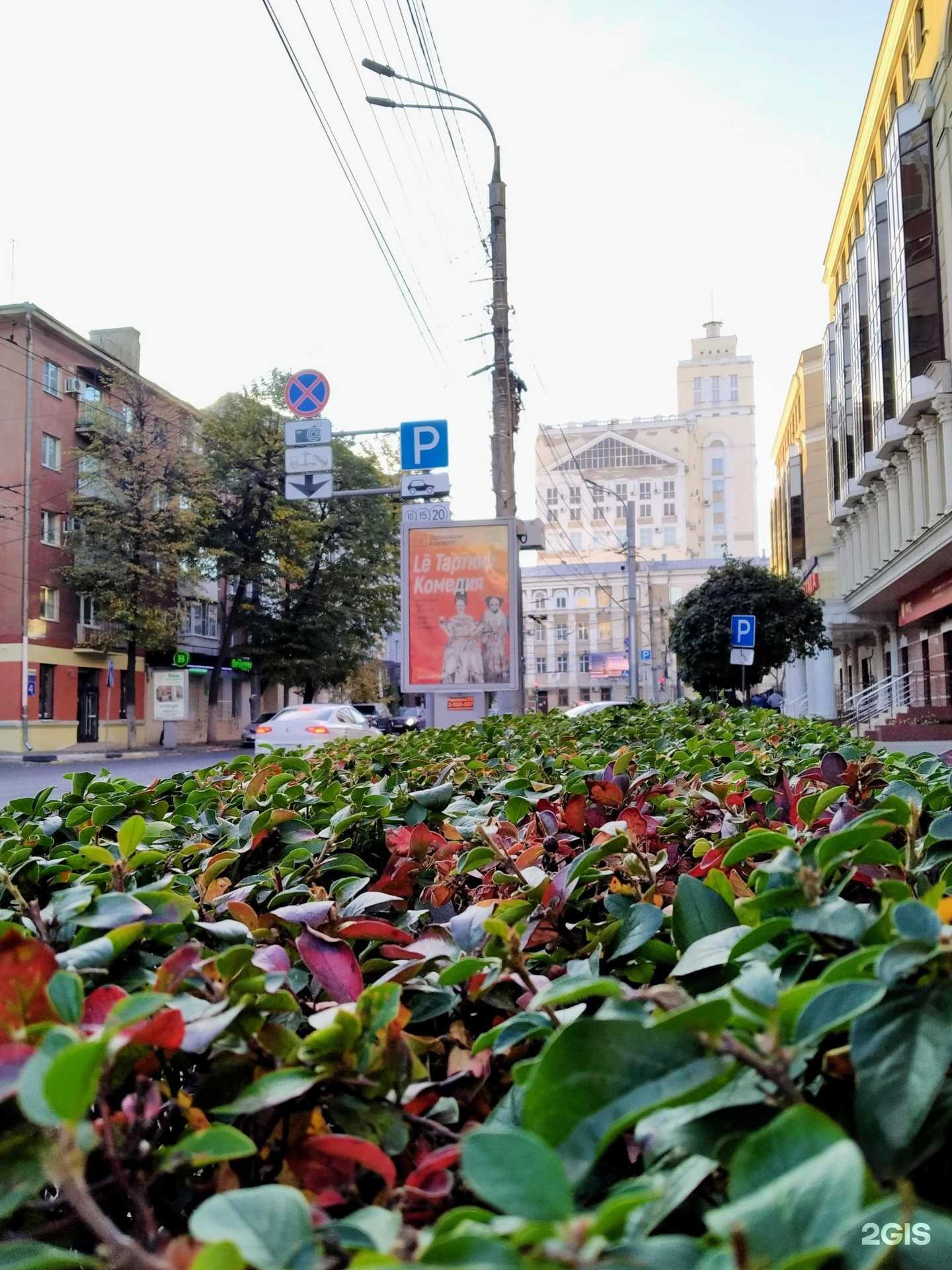 Отзывы на компанию +Альянс в Воронеже c фото