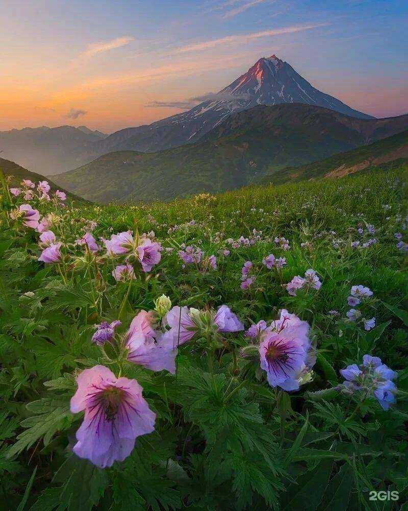 Отзывы на компанию Камчатское бюро путешествий в Петропавловске-Камчатском c фото