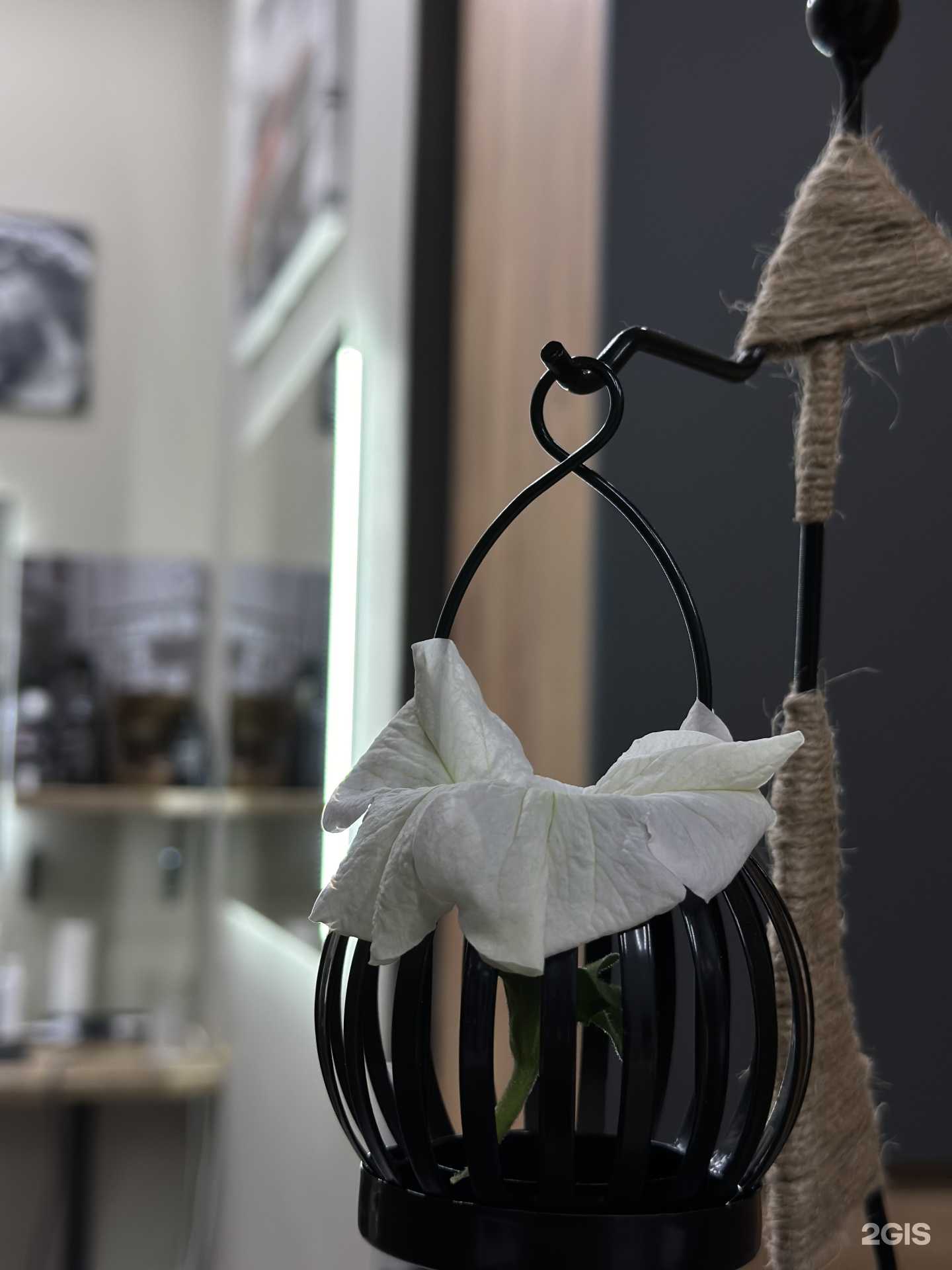 Отзывы на компанию Barbershop by Роман Лис в Красноярске c фото