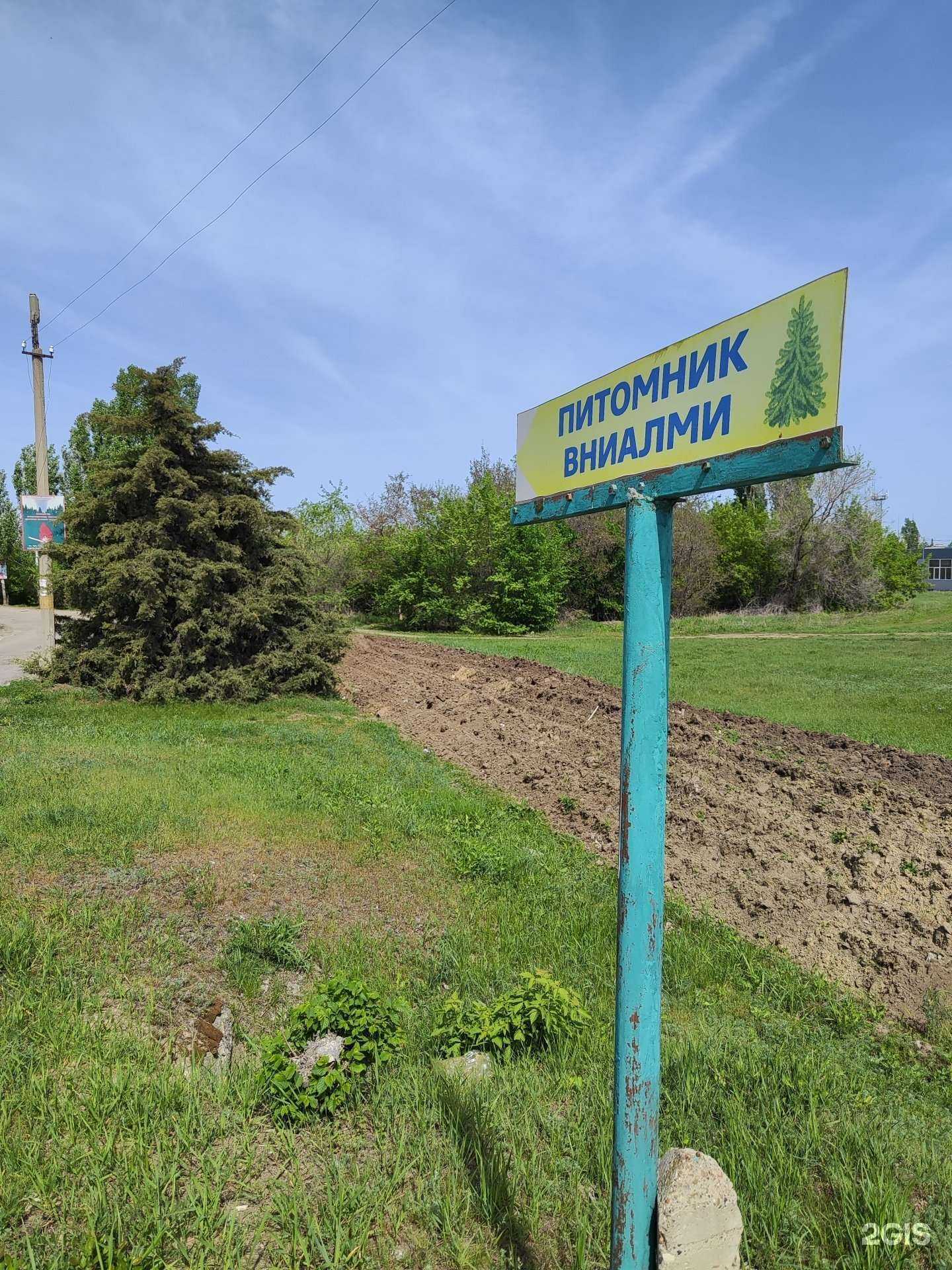 Отзывы на компанию Нижневолжская станция по селекции древесных пород в Камышине c фото