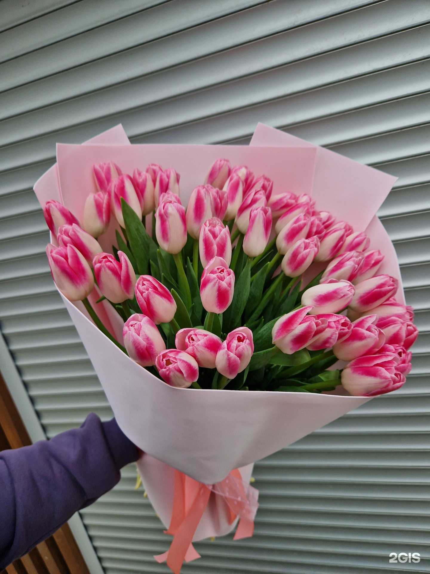 Отзывы на компанию Surprise в г. Новороссийск c фото