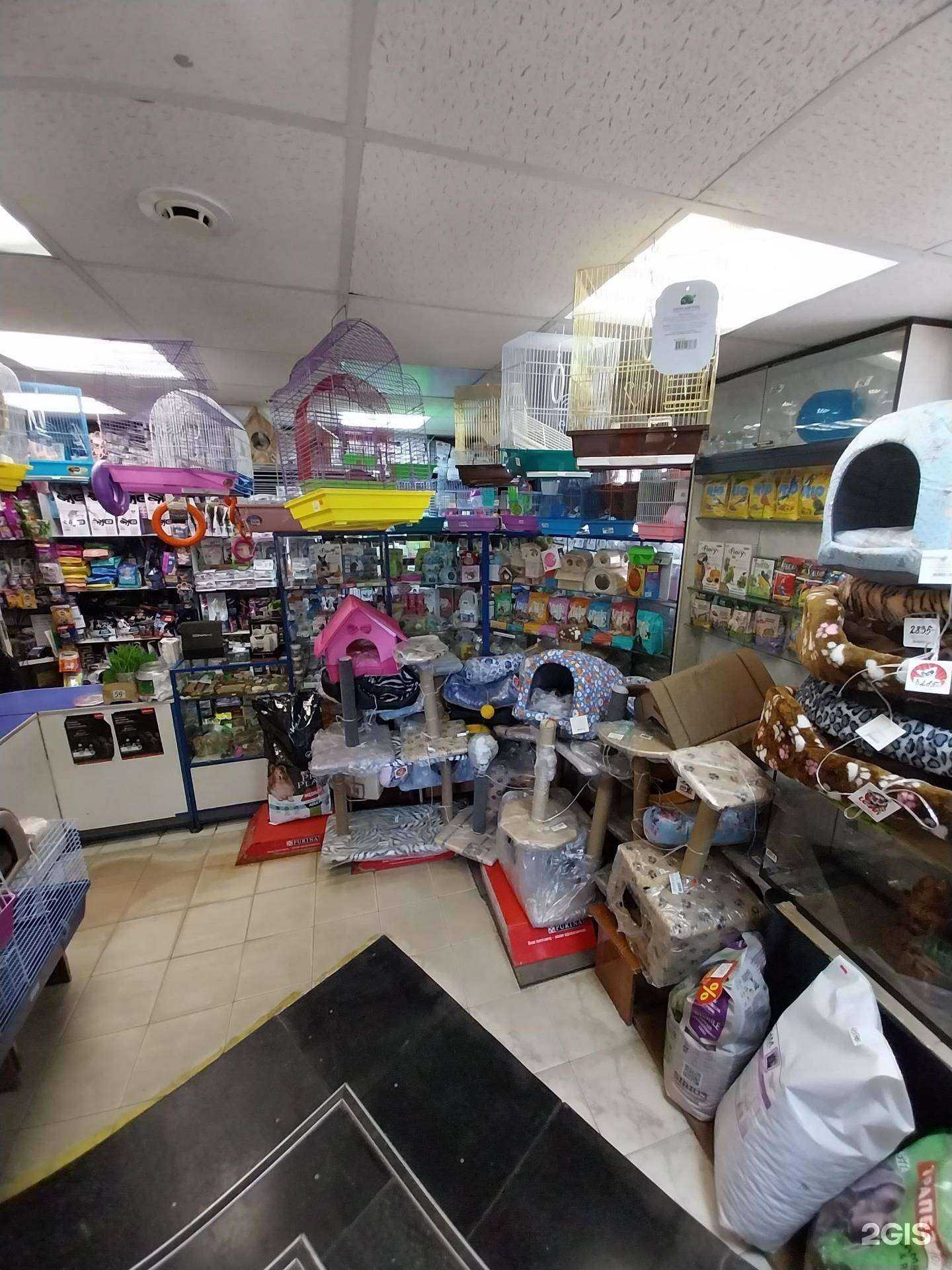 Отзывы на компанию Динго в Кирове c фото