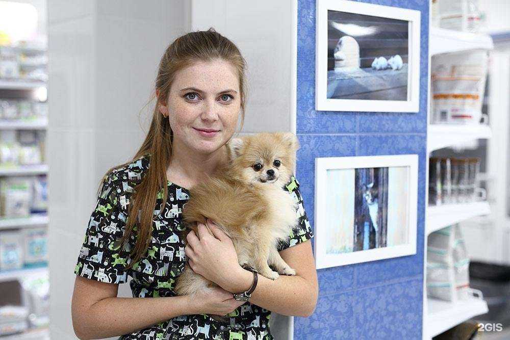 Отзывы на компанию Зоодоктор в г. Екатеринбург c фото