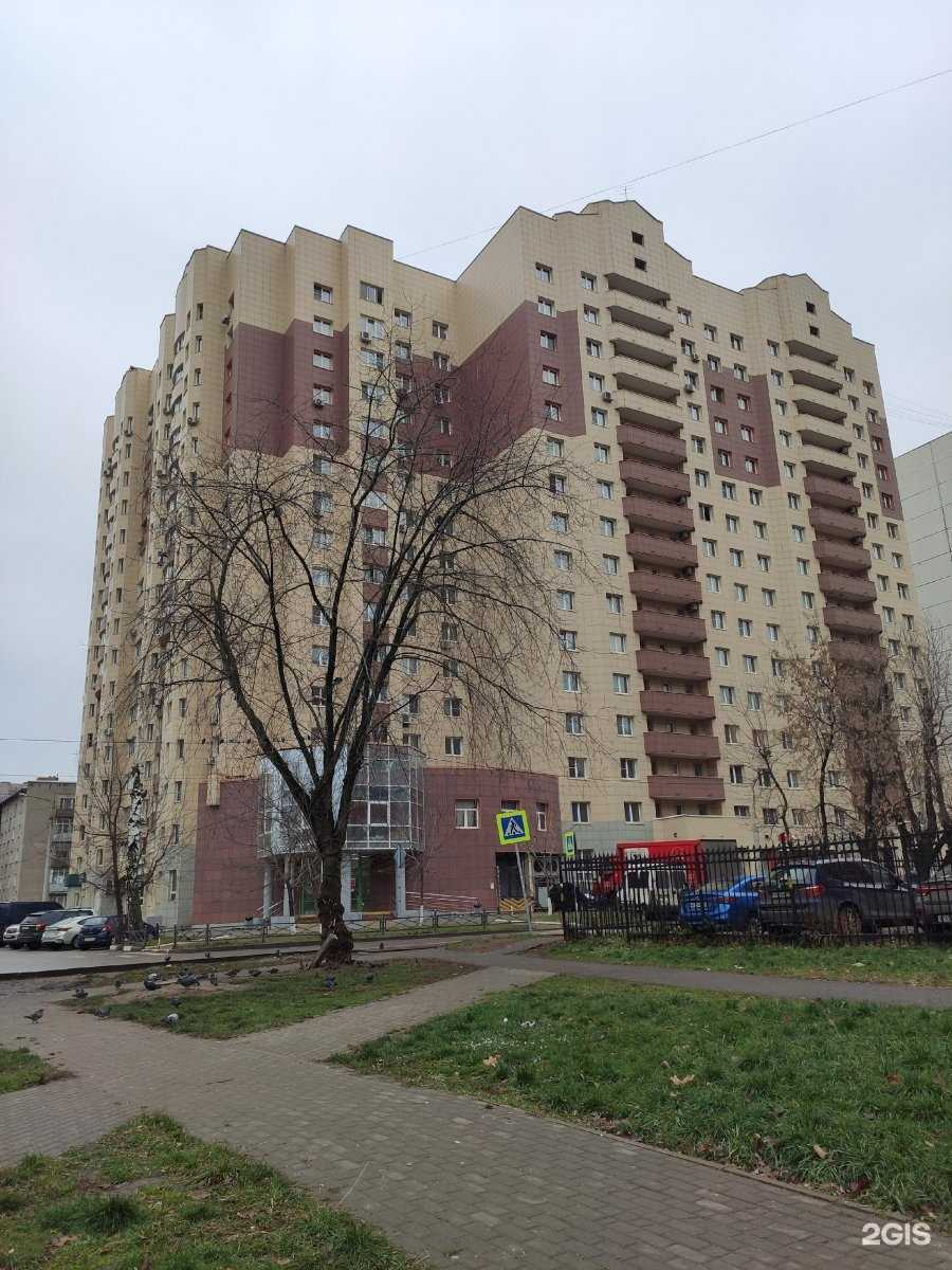 Отзывы на компанию Мокрый нос в г. Люберцы c фото