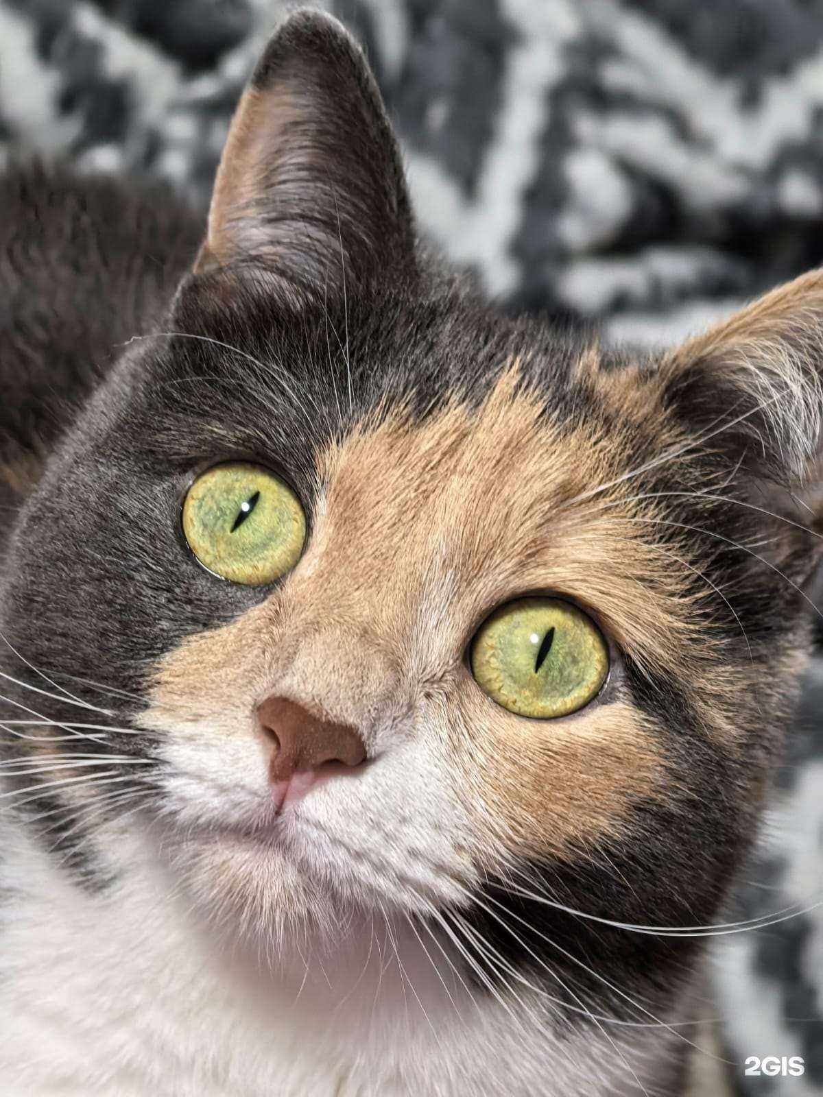 Отзывы на компанию Сто Кормов в Набережных Челнах c фото