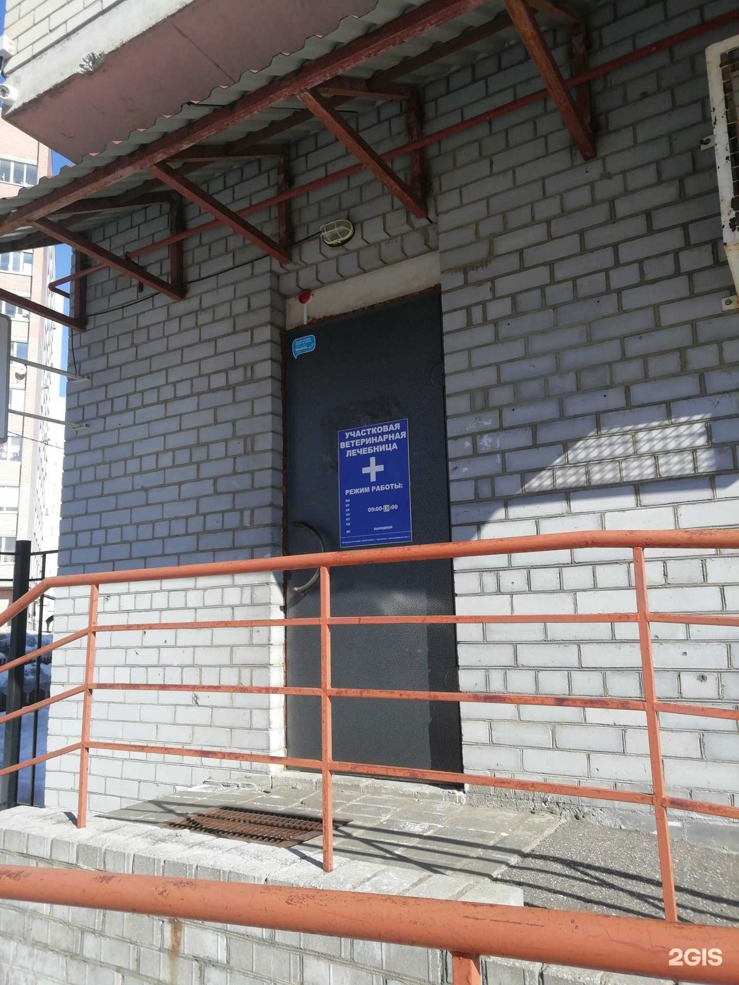 Отзывы на компанию Участковая ветеринарная лечебница в Ярославле c фото