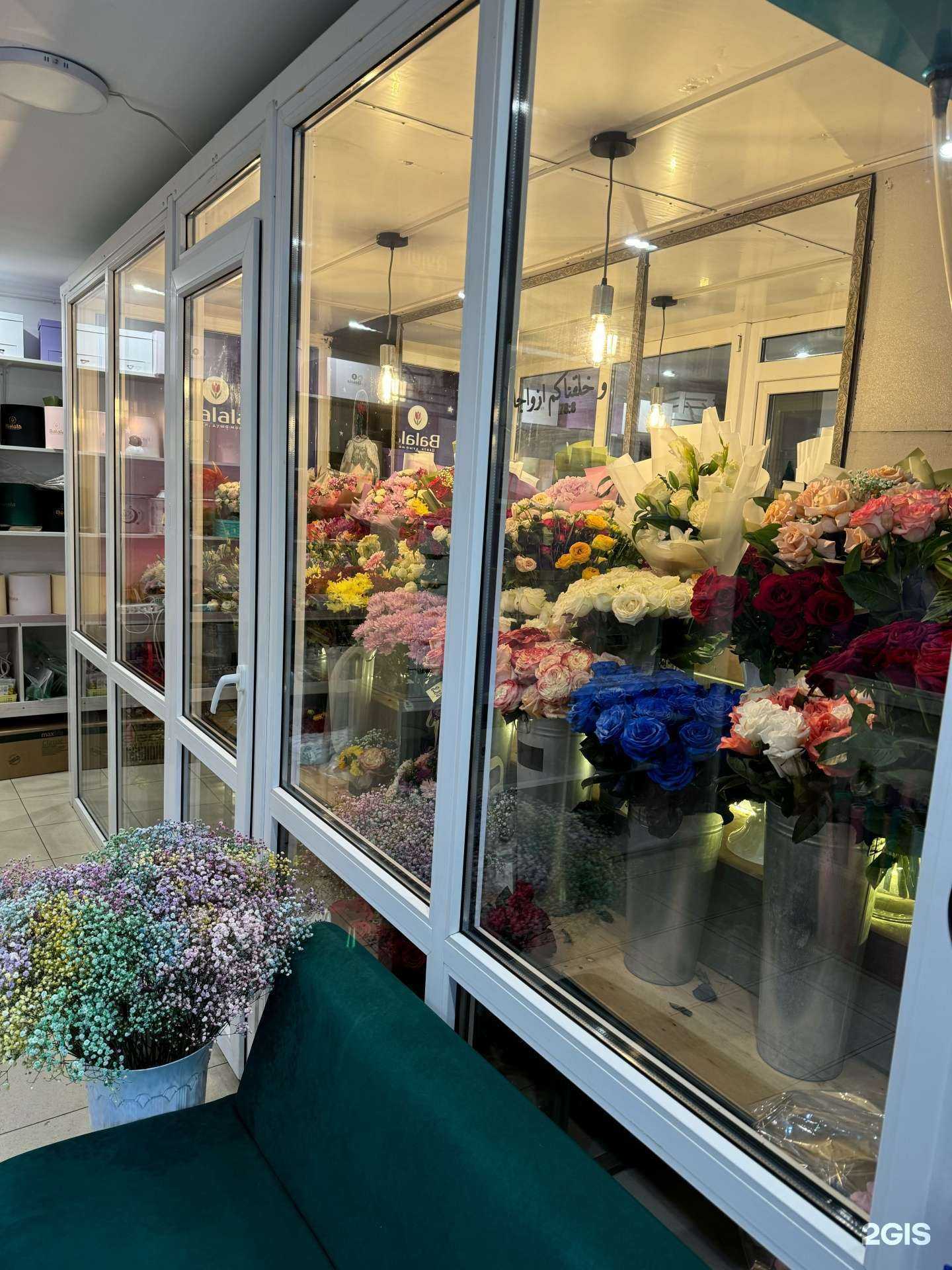 Отзывы на компанию Balala в г. Черкесск c фото