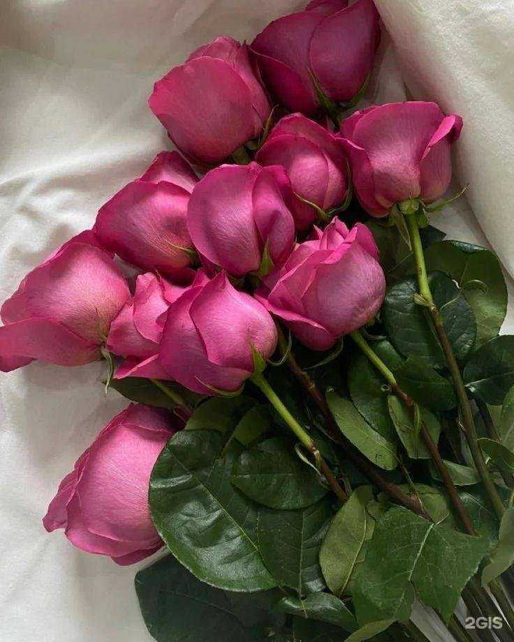 Отзывы на компанию Deskostudio в г. Владивосток c фото