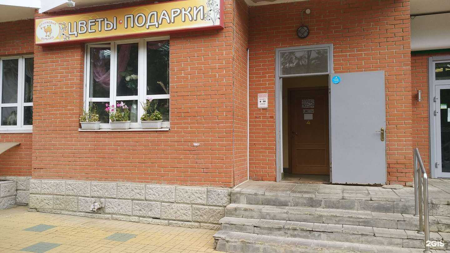 Отзывы на компанию Оранжевый верблюд в Ступине c фото