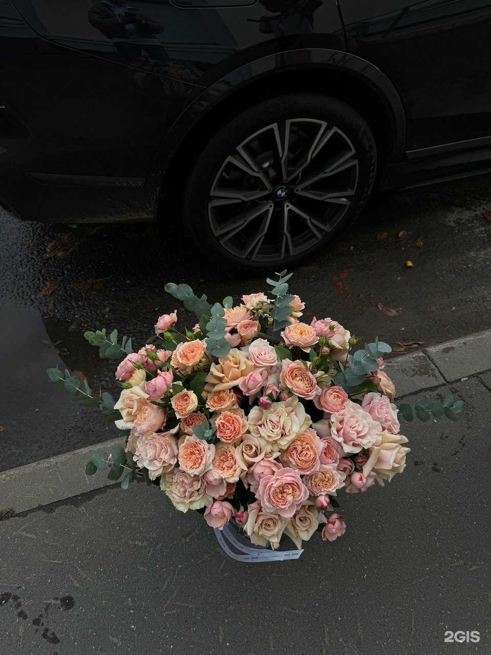 Отзывы на компанию Mon_ami в Тольятти c фото