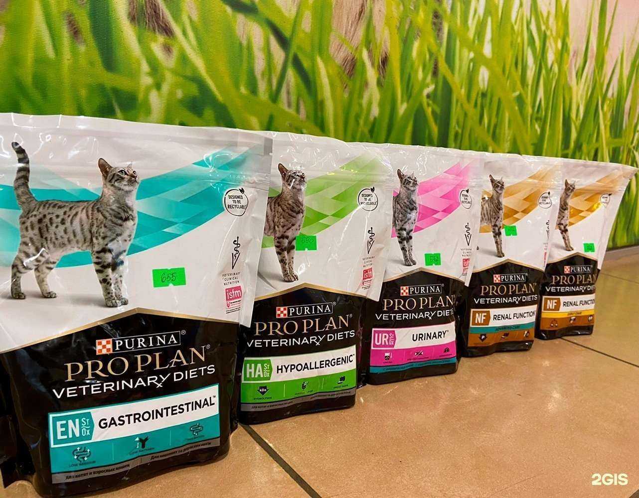 Отзывы на компанию Город ZOO в г. Томск c фото