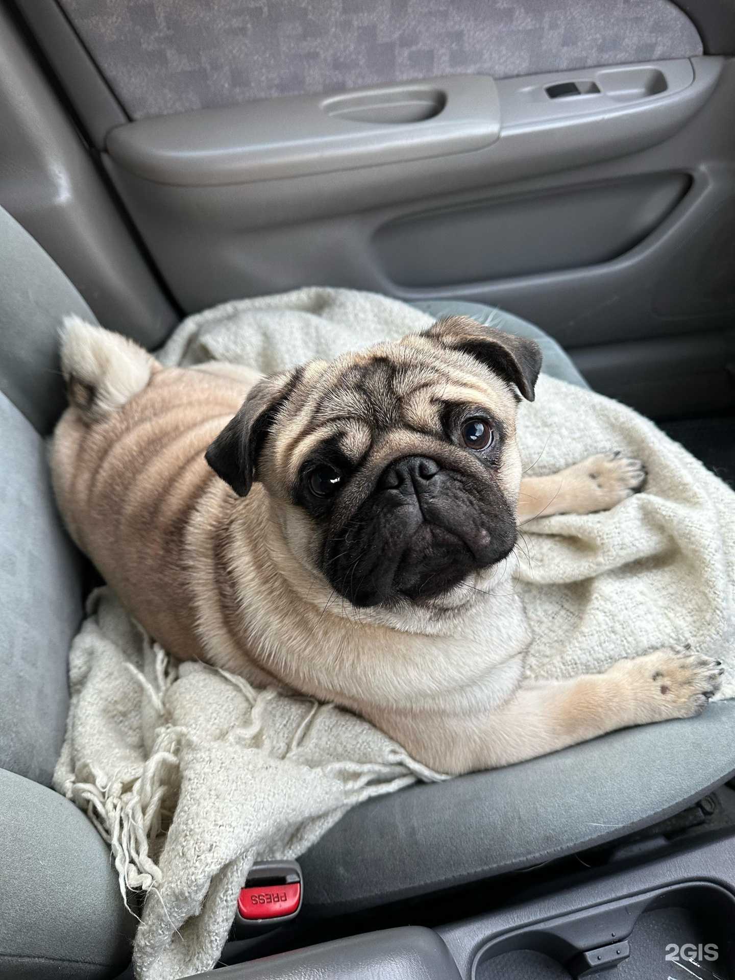 Отзывы на компанию Вега в Новосибирске c фото