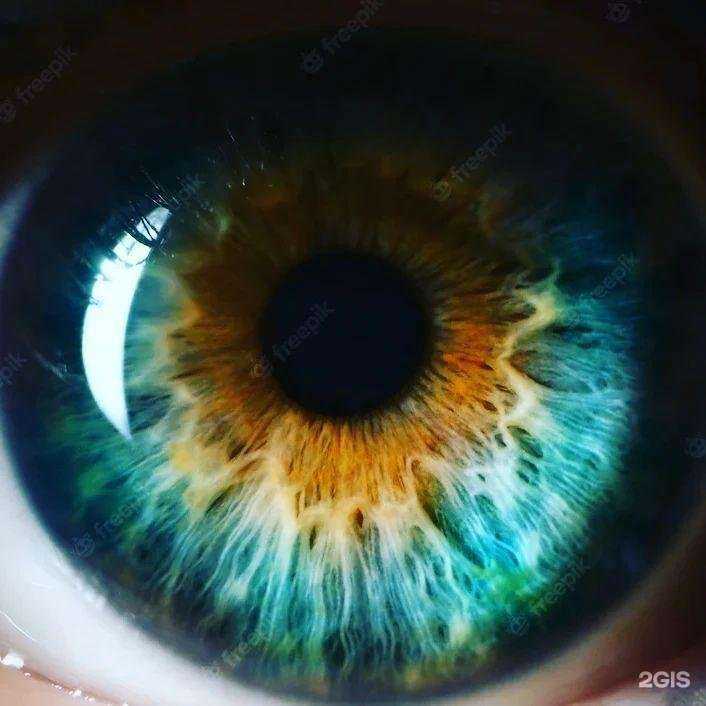 Отзывы на компанию Глаз-алмаз в Саратове c фото