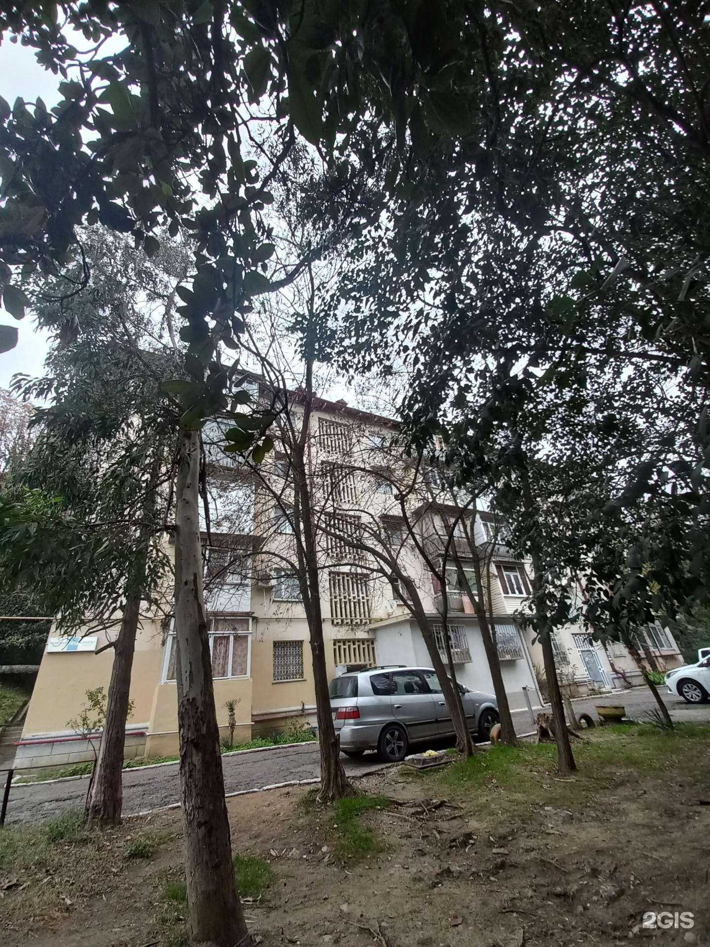 Отзывы на компанию Дендрарий в г. Сочи c фото