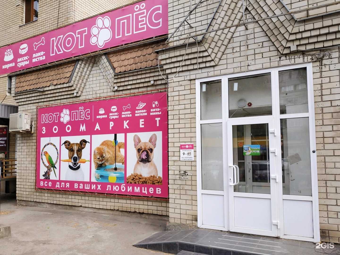 Отзывы на компанию Котопёс в Энгельсе c фото