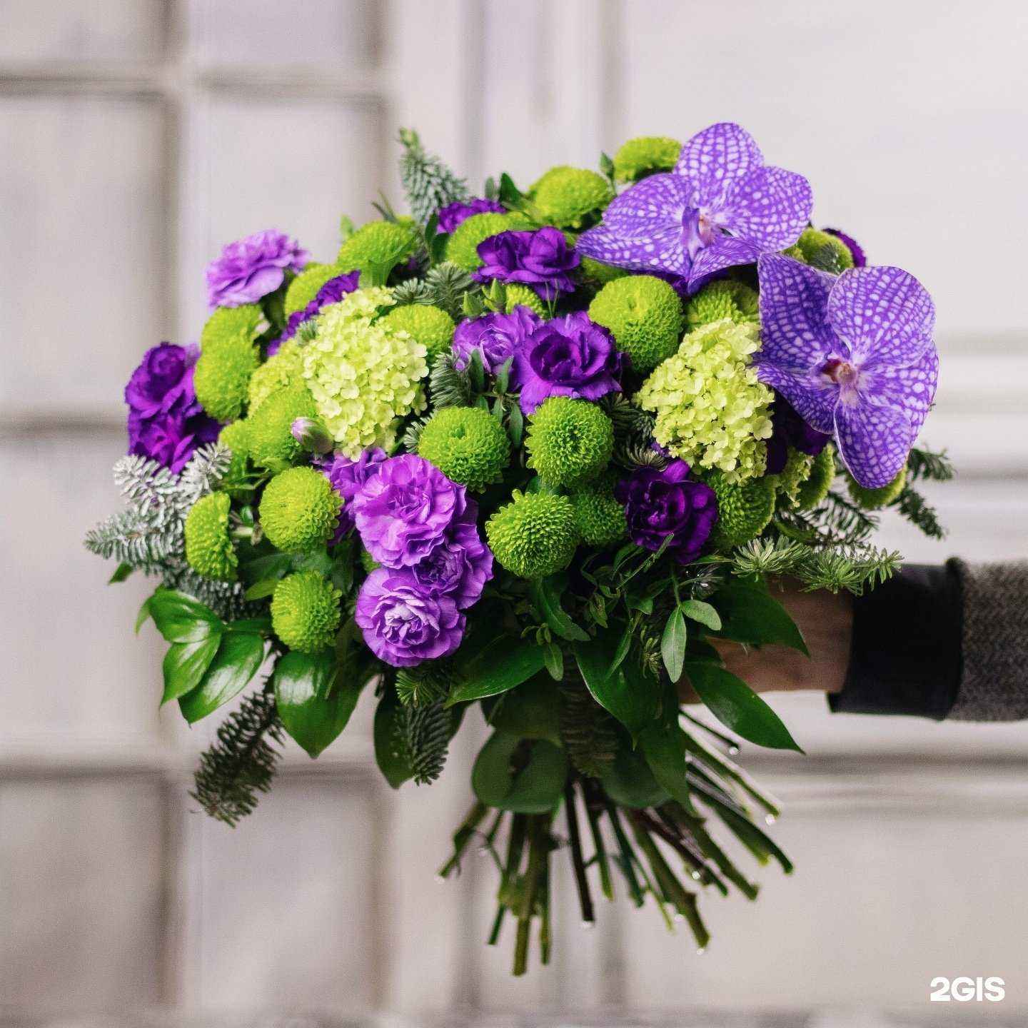 Отзывы на компанию Кактус в г. Сургут c фото