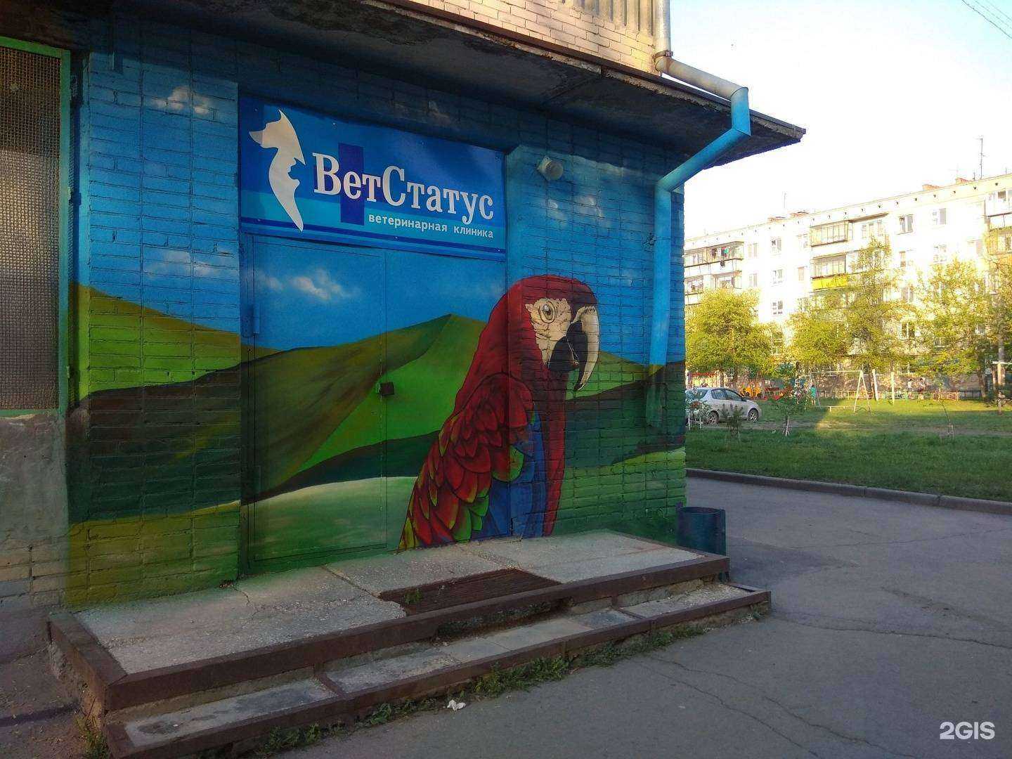 Отзывы на компанию ВетСтатус в г. Копейск c фото