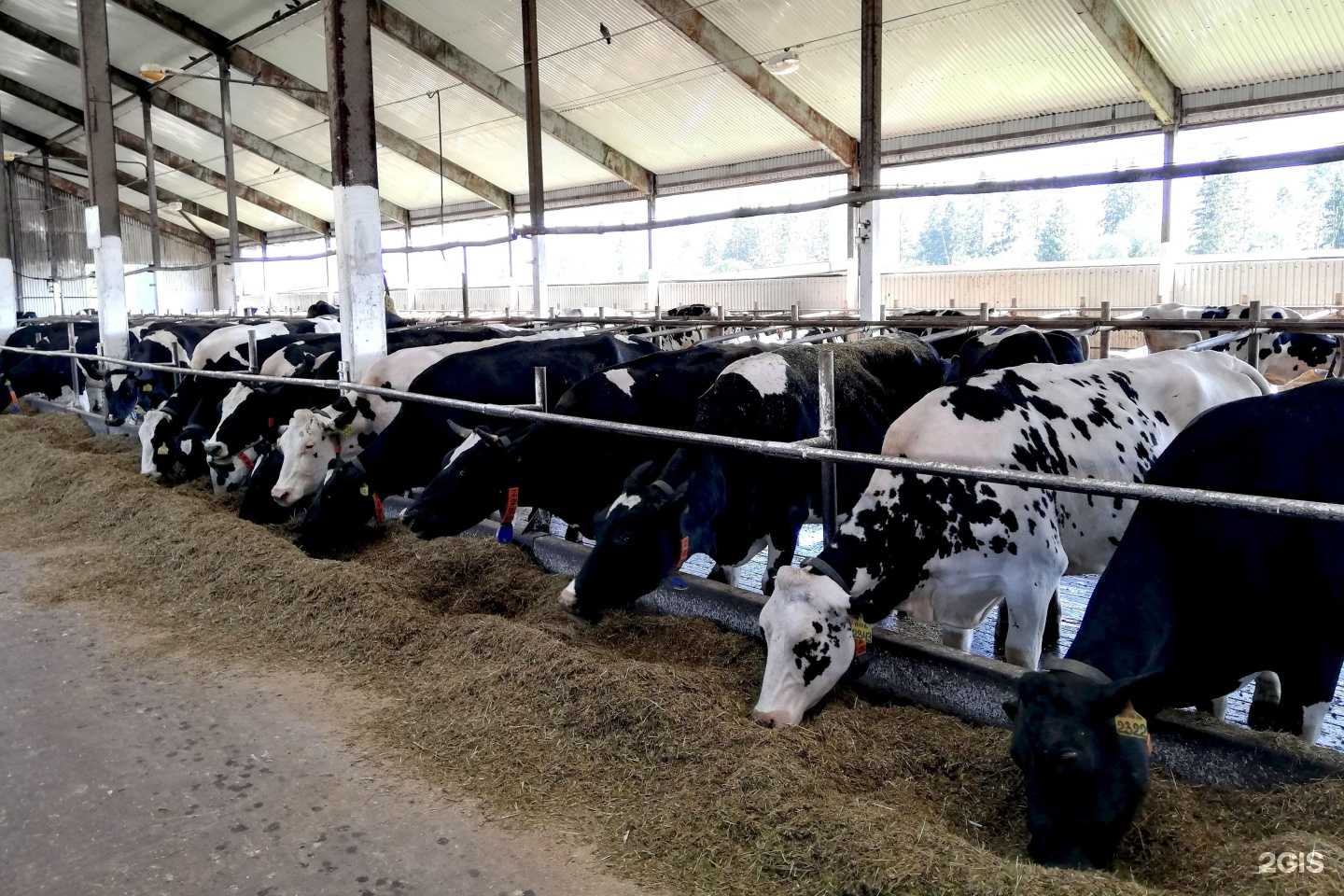 Отзывы на компанию Эконива-апк холдинг в Воронеже c фото