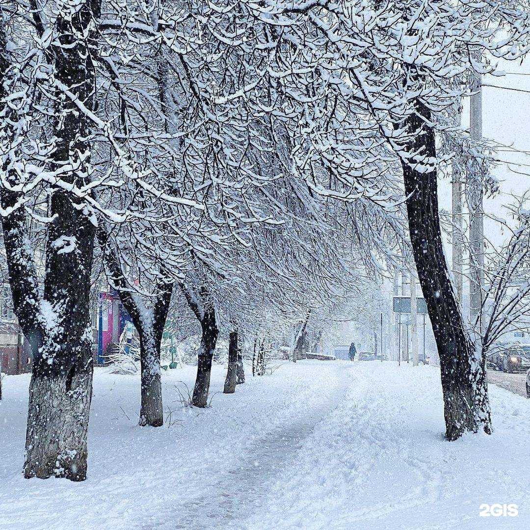 Отзывы на компанию The iStore в г. Тула c фото