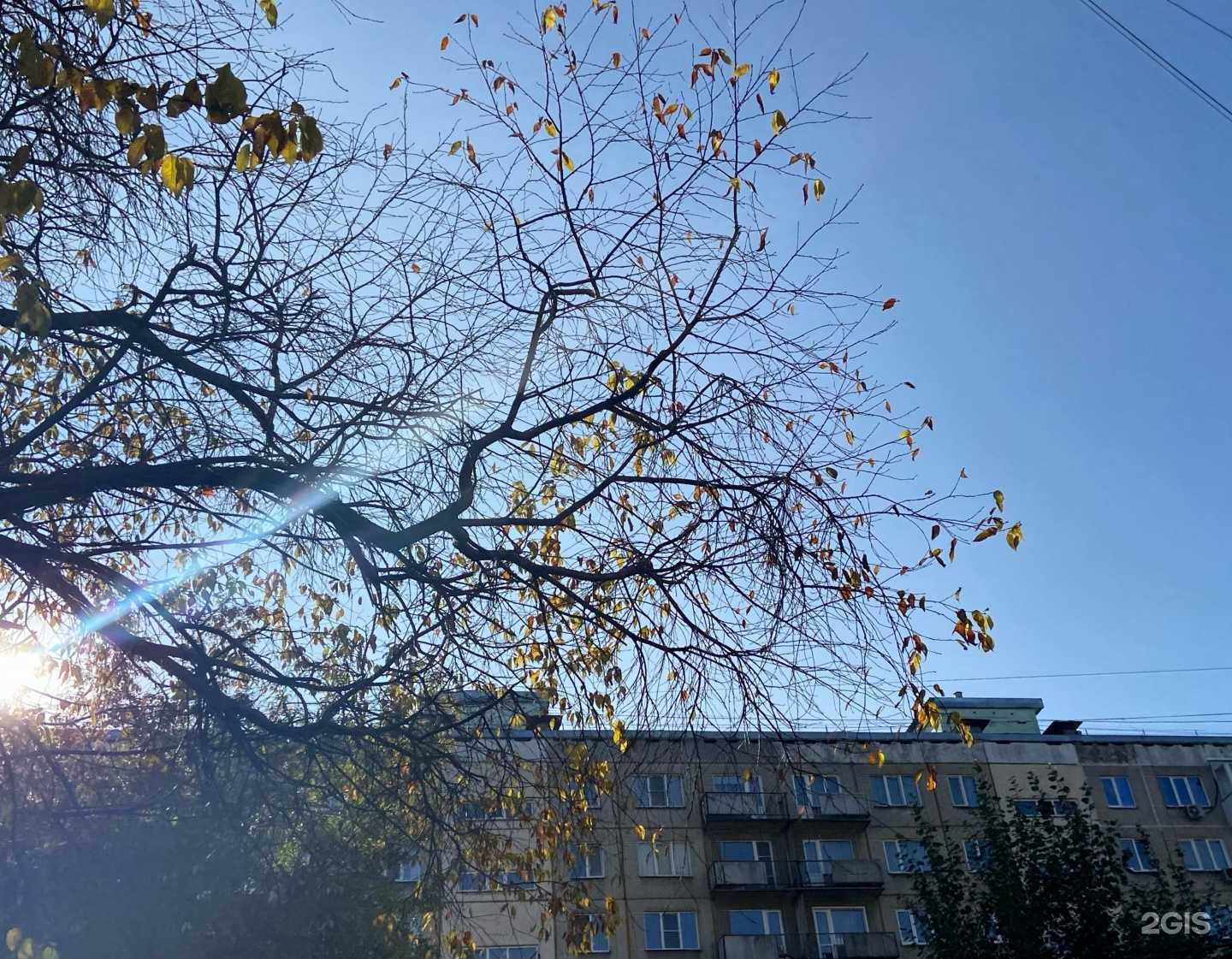 Отзывы на компанию Компания по финансовым услугам и агентство недвижимости в г. Новосибирск c фото