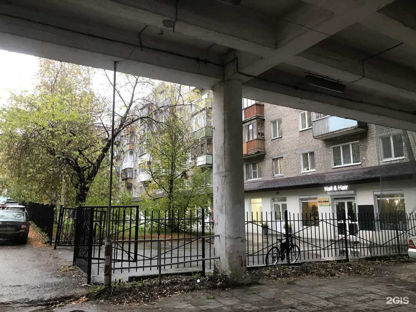 Отзывы на компанию DogMas в Перми c фото - фотография 2 из 2