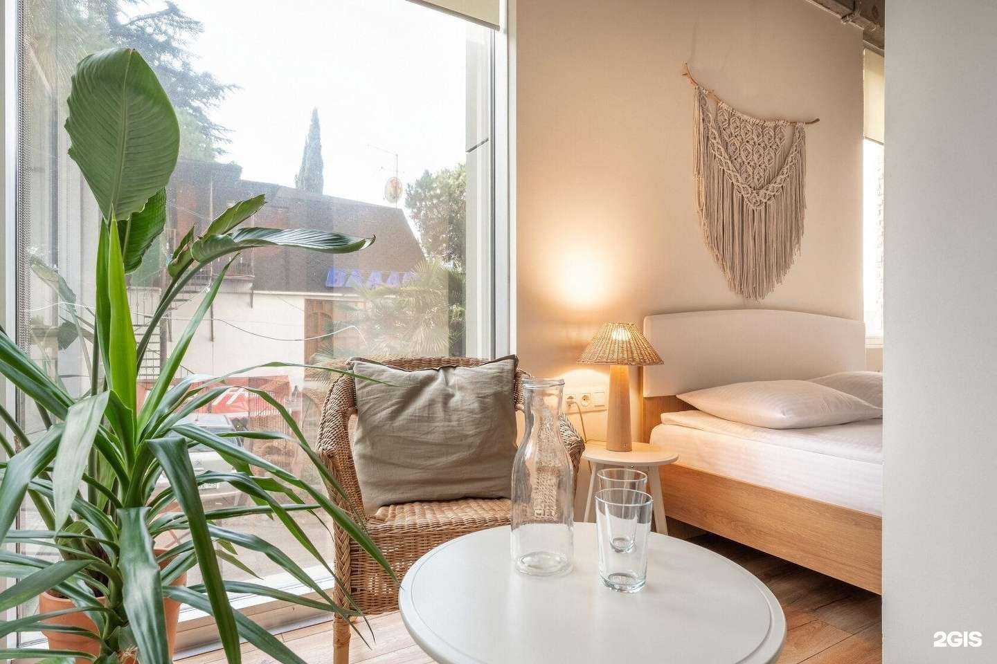 Отзывы на компанию Plants & Friends в Сочи c фото