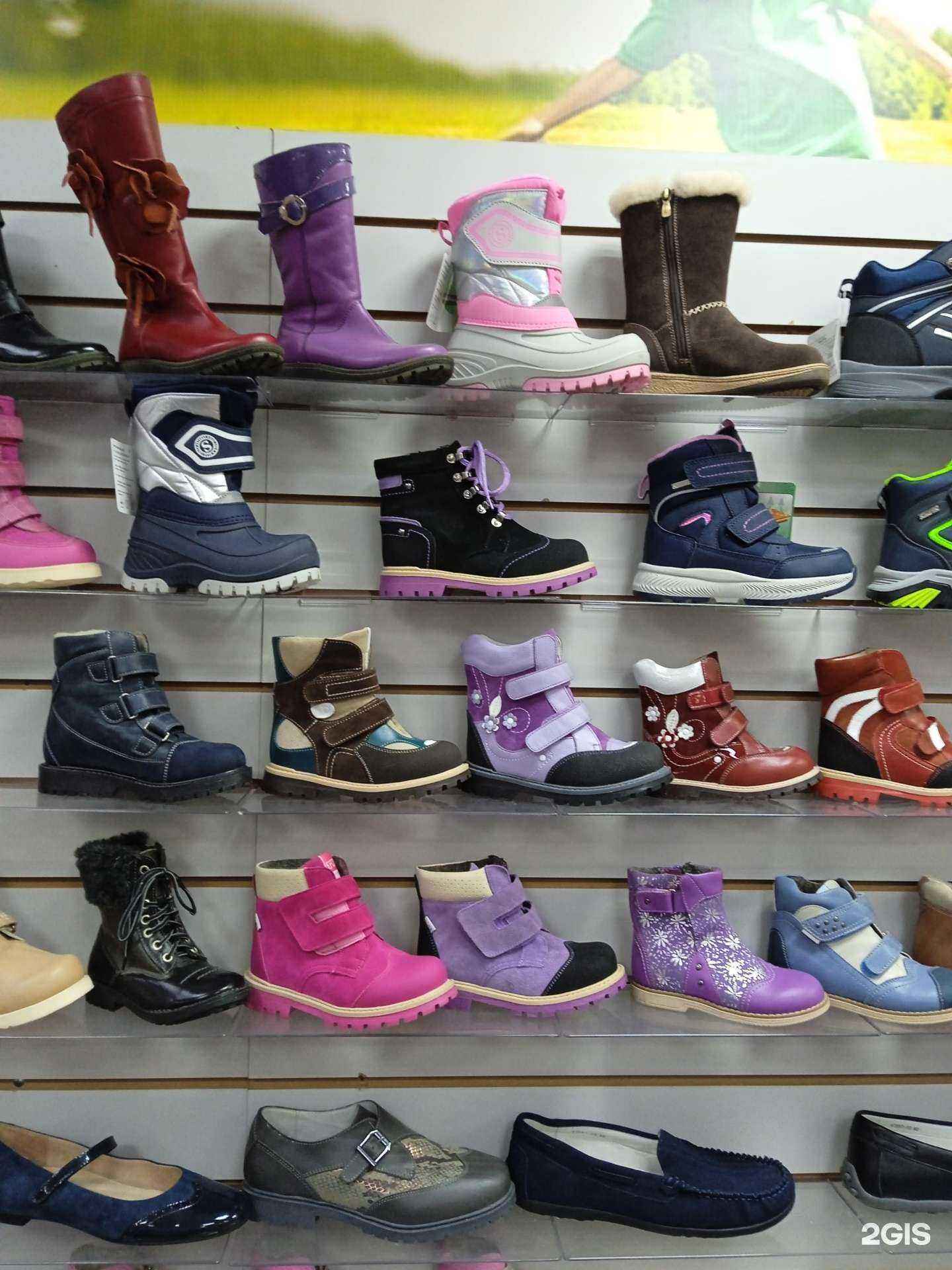 Отзывы на компанию Орто в Вологде c фото