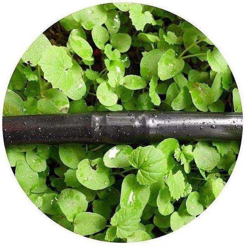 Отзывы на компанию Цветметполимер в Сочи c фото