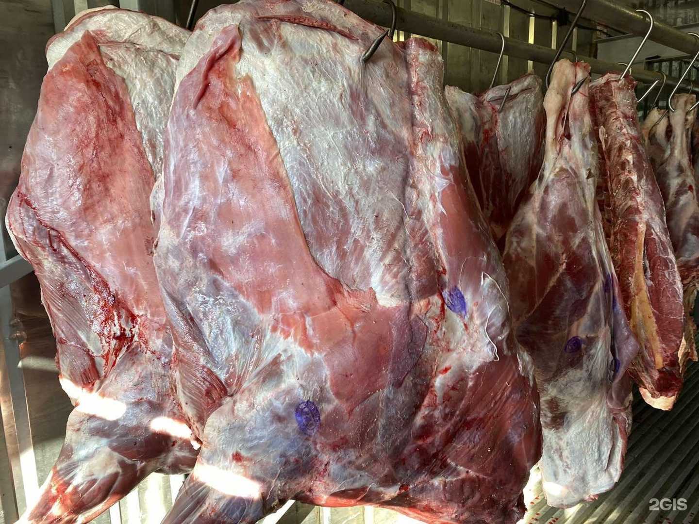 Отзывы на компанию МитПро в Перми c фото