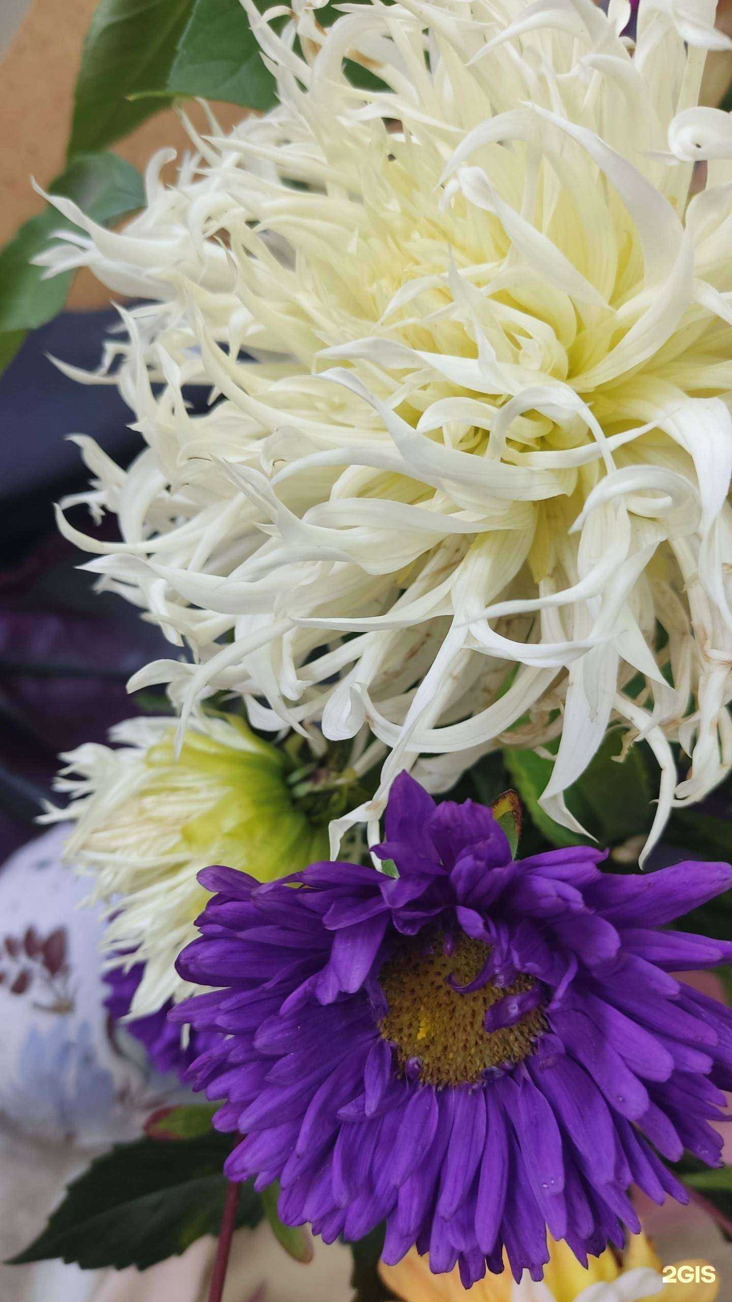 Отзывы на компанию Наша дача в г. Сургут c фото