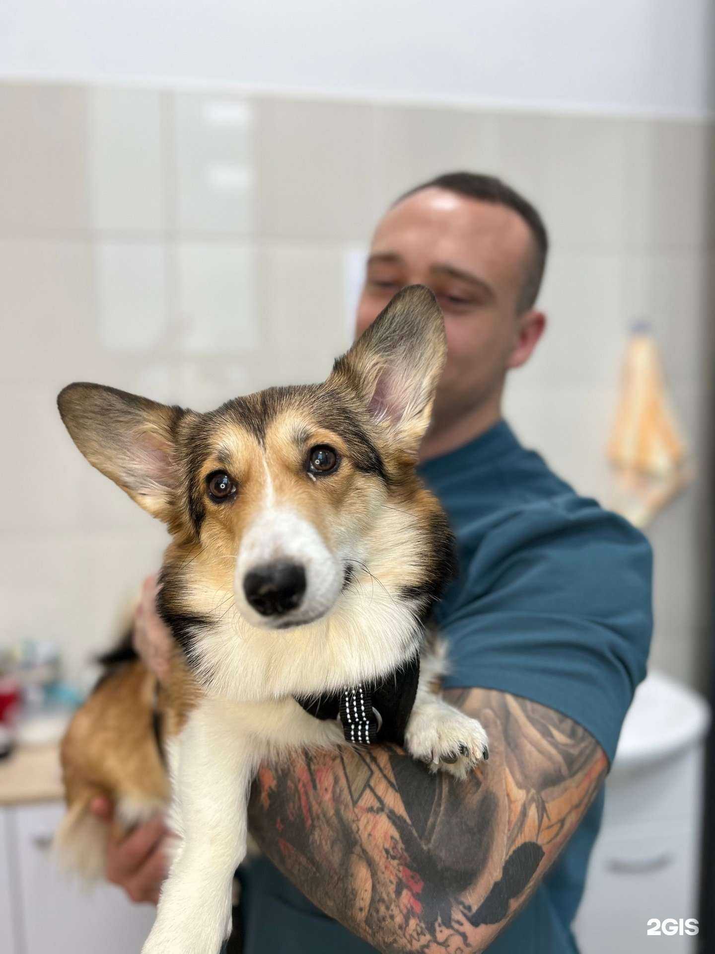 Отзывы на компанию Белый лев в Екатеринбурге c фото