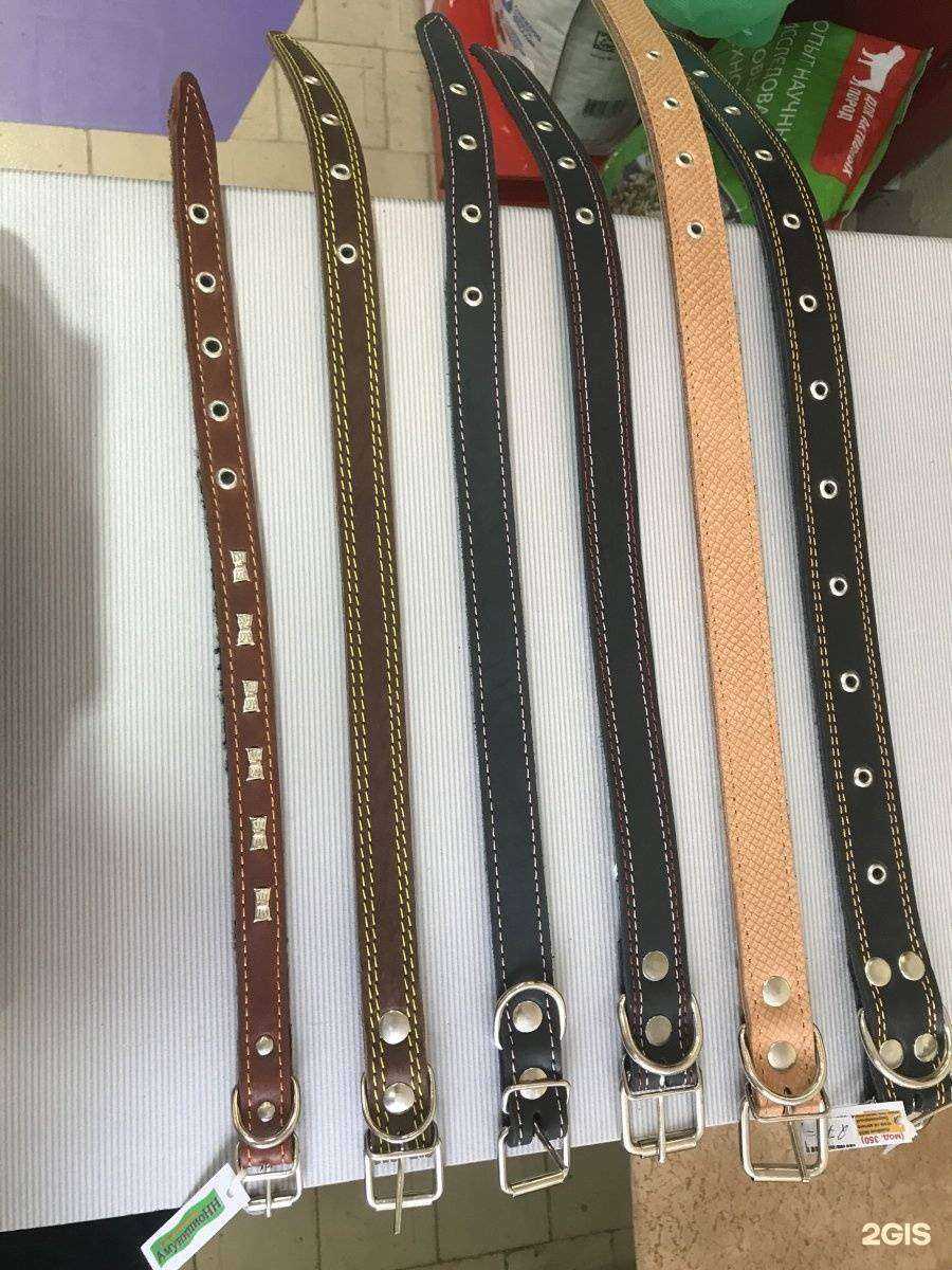 Отзывы на компанию В мире животных в г. Саратов c фото