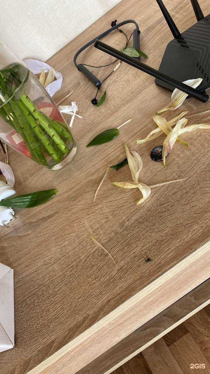 Отзывы на компанию Pandora в Челябинске c фото - фотография 2 из 2