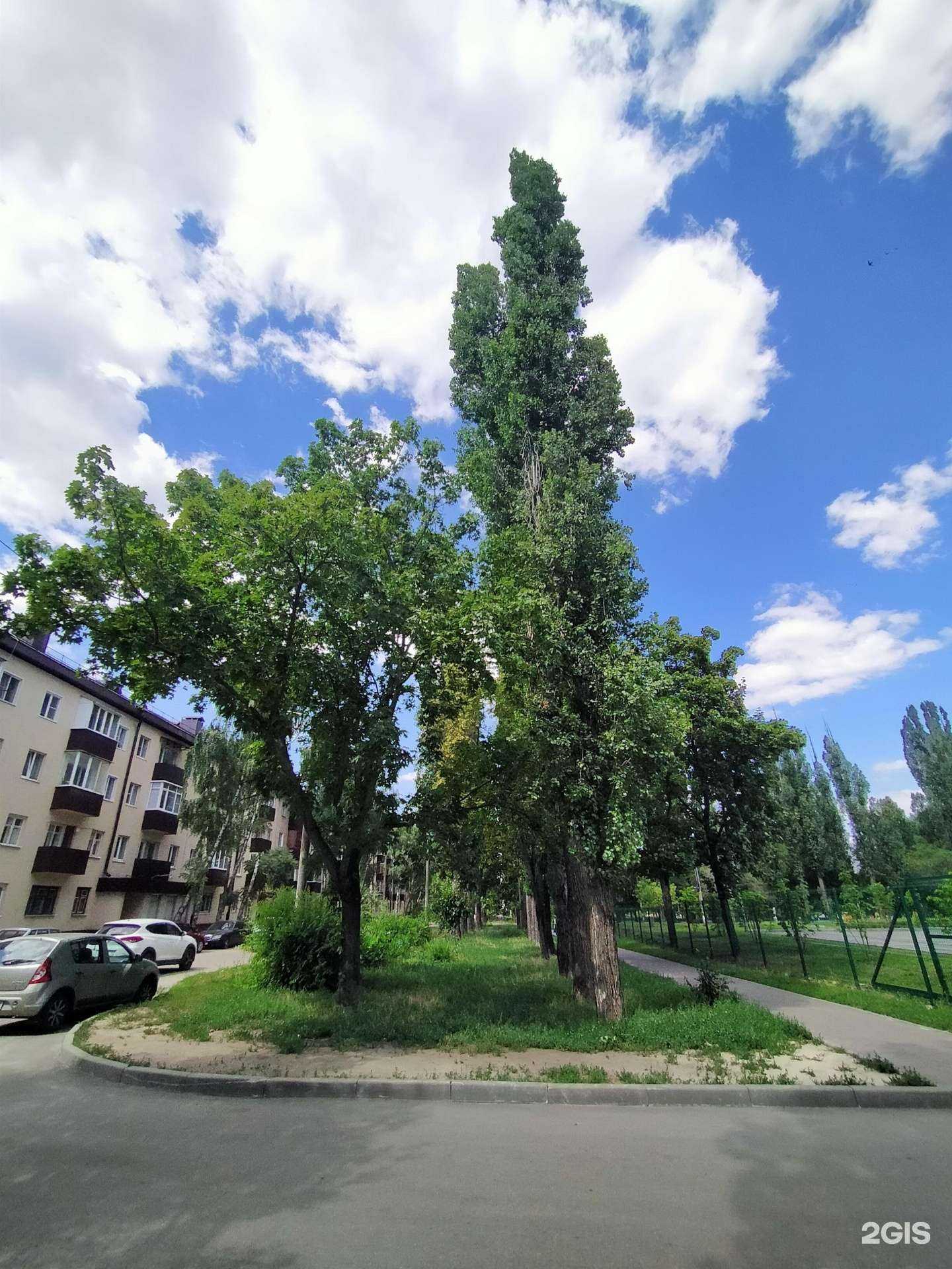 Отзывы на компанию Go bike в Воронеже c фото - фотография 2 из 2