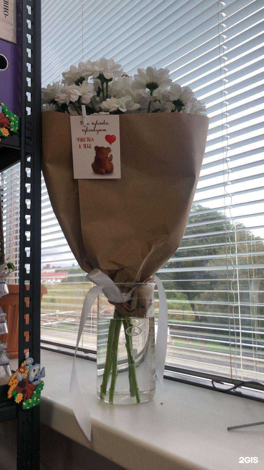 Отзывы на компанию M. Marple в Волоколамске c фото