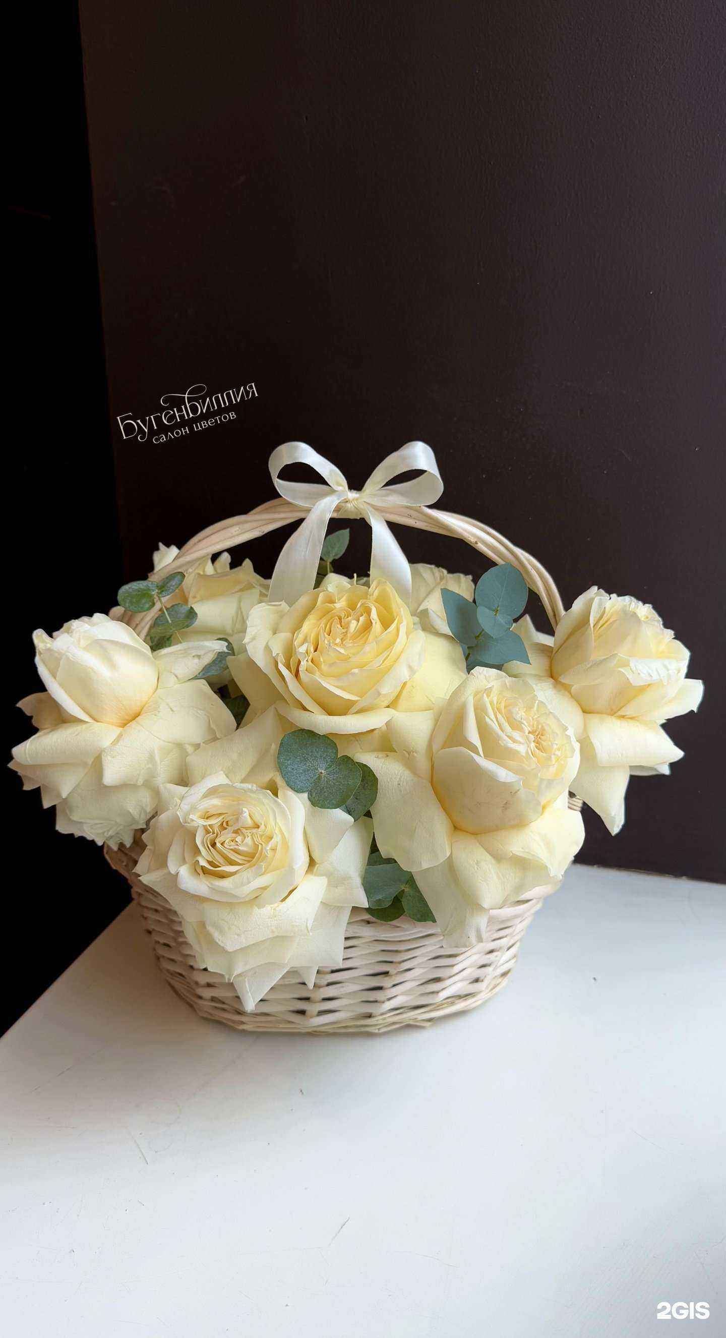 Отзывы на компанию Бугенвиллия в Тамбове c фото