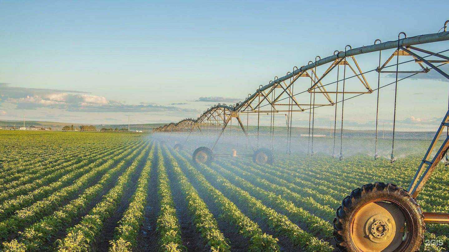 Отзывы на компанию Спасский консервный завод в г. Спасск-Дальний c фото