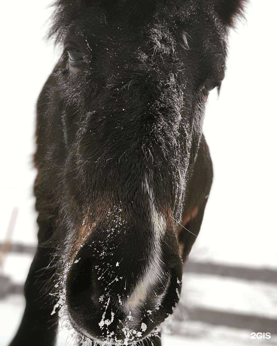 Отзывы на компанию Просто-ква-квашино в г. Волгоград c фото