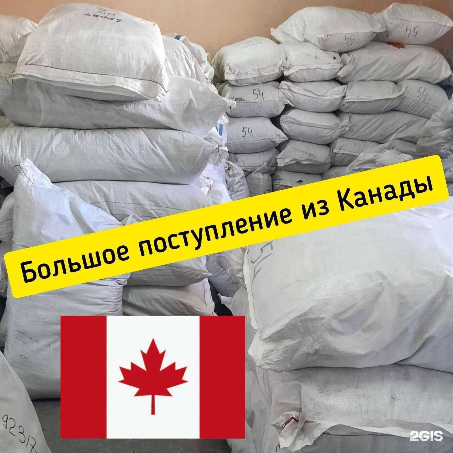 Отзывы на компанию Лик-Новосибирск в Новосибирске c фото