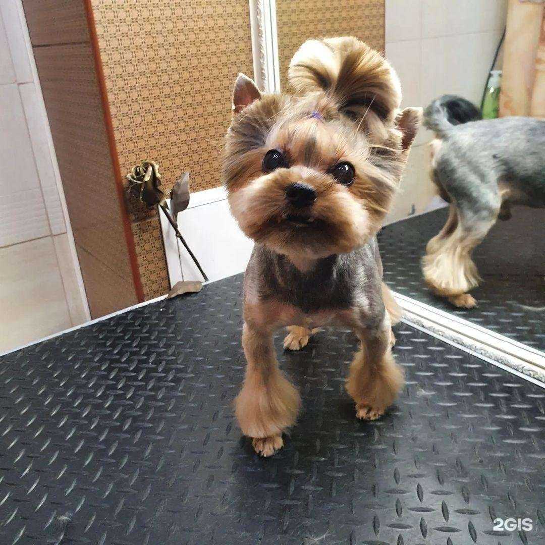 Отзывы на компанию Darling в г. Петропавловск-Камчатский c фото