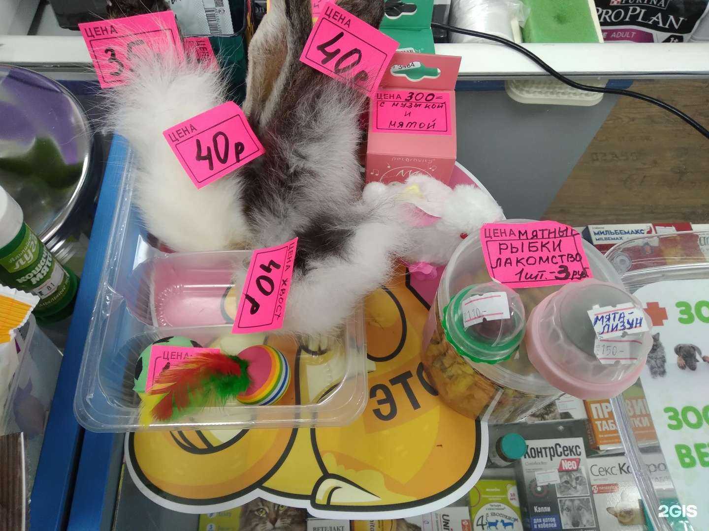 Отзывы на компанию Зоомир плюс в г. Нижний Новгород c фото