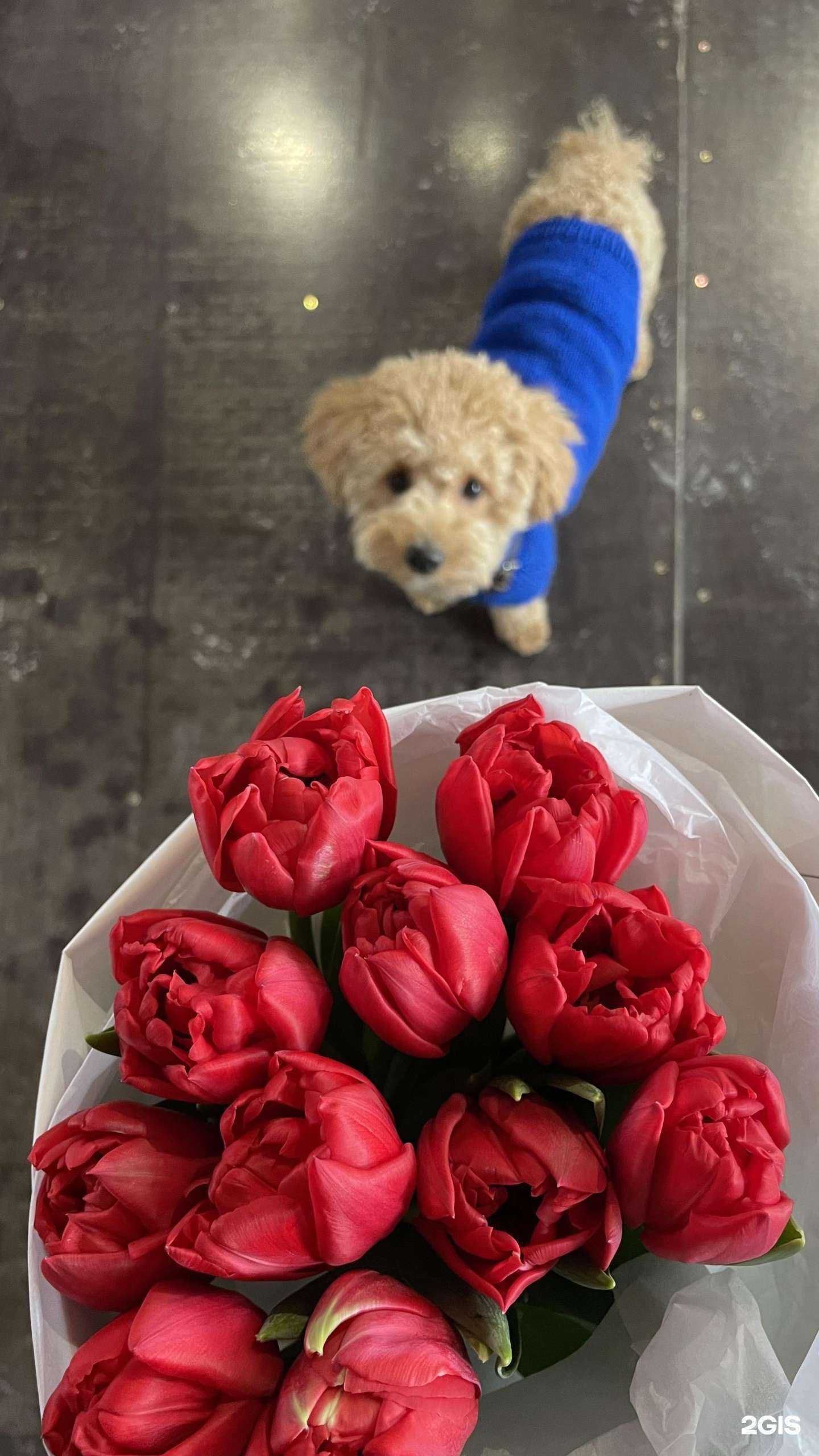 Отзывы на компанию mono в Перми c фото