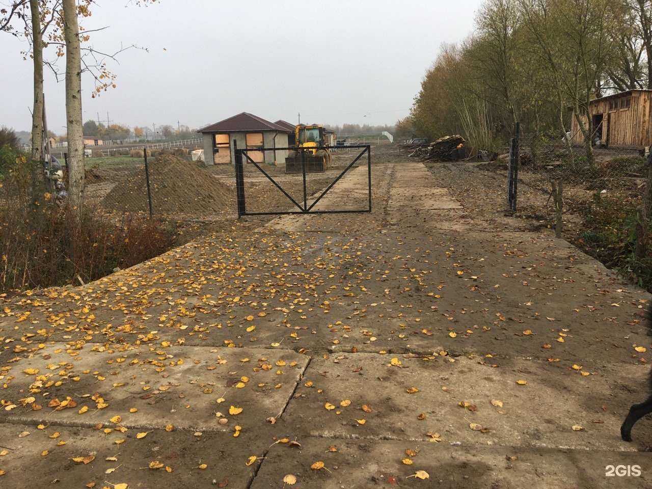 Отзывы на компанию Альтхофф в Калининграде c фото