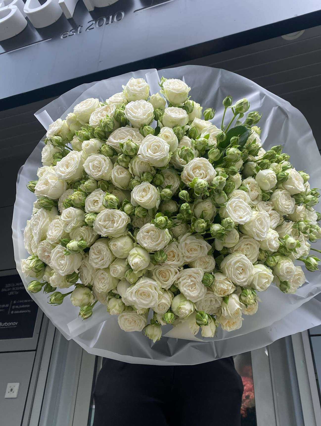 Отзывы на компанию Ирис Бурбонов в г. Екатеринбург c фото