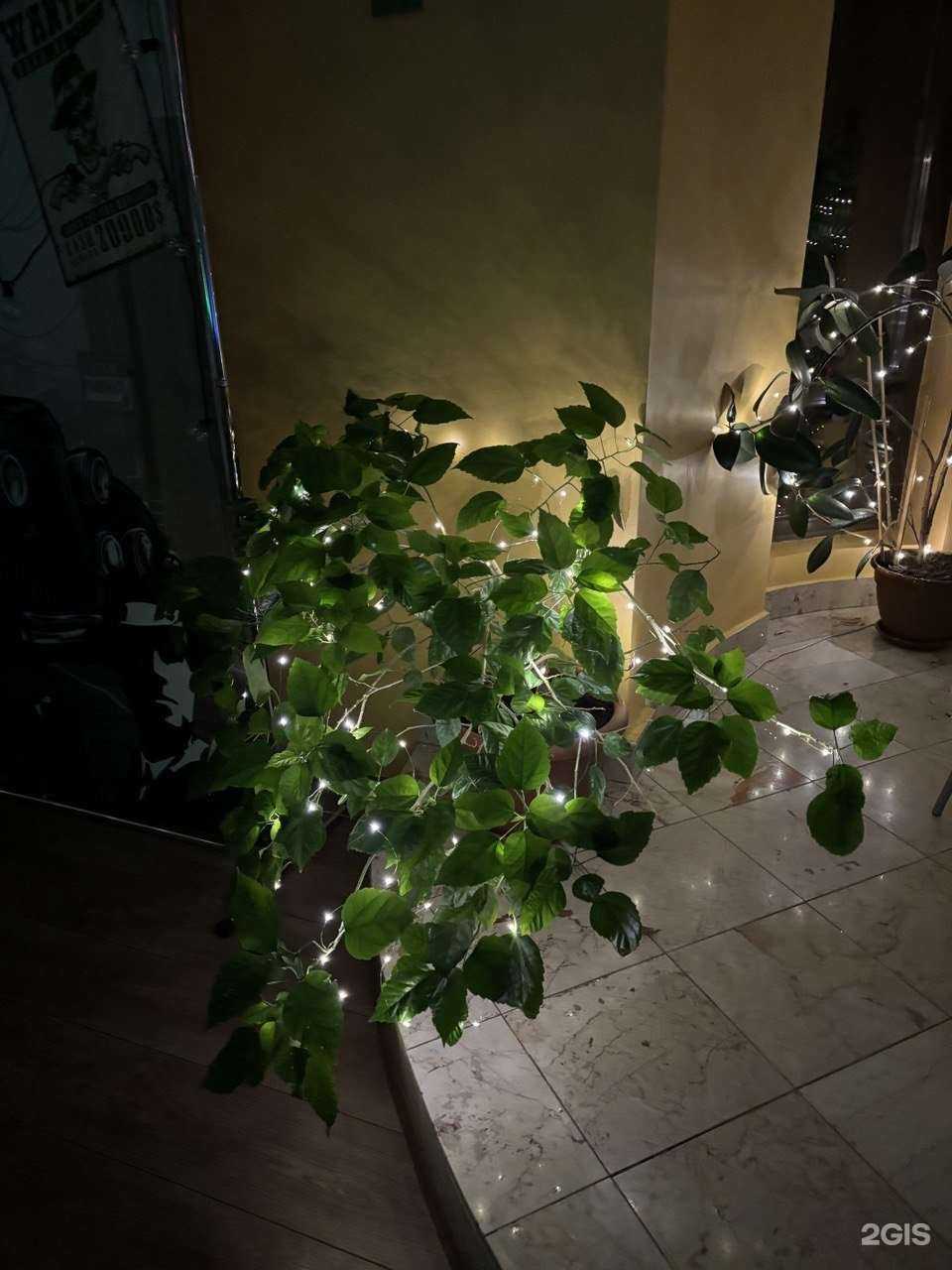 Отзывы на компанию Kres ti Amo в Таганроге c фото