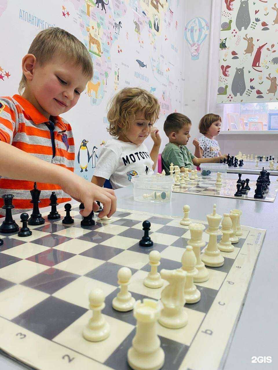 Отзывы на компанию Akademsad в Новосибирске c фото